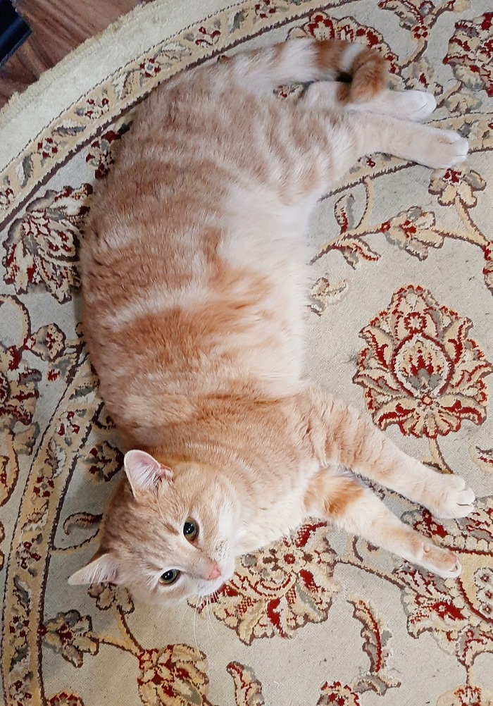 Маскировка