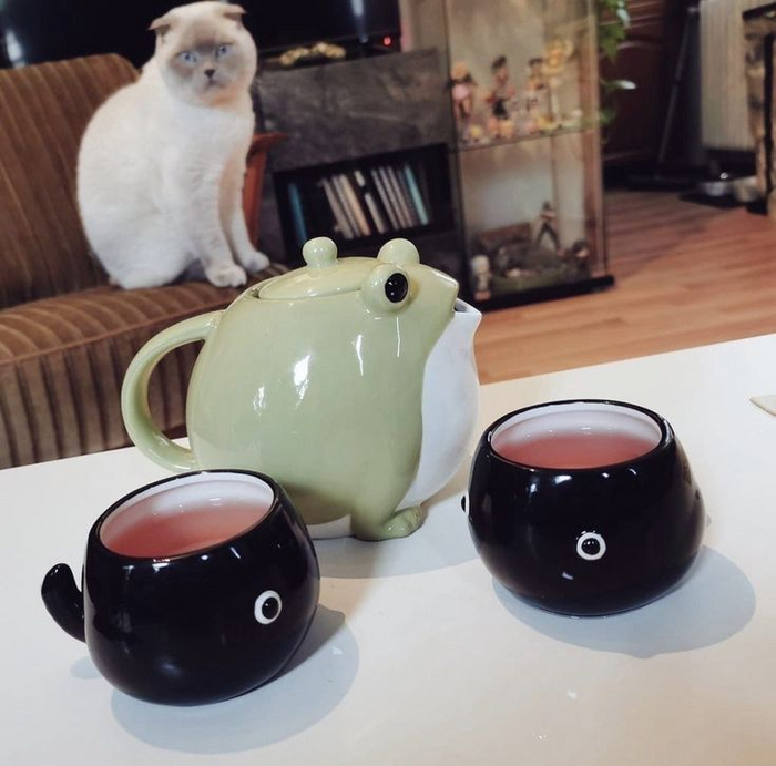 ����� � ���� �������� ��������� �� ����������� �� ������