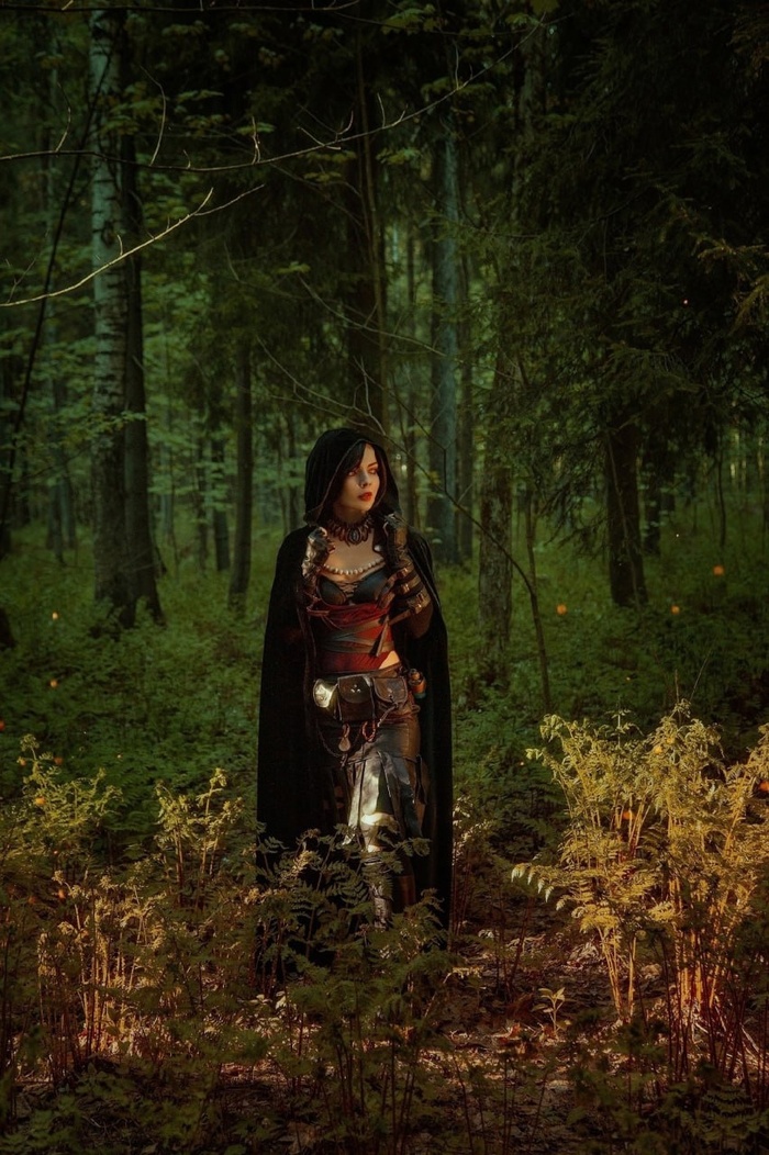  , , , , Dragon Age, Stormborncat, , ,  ()