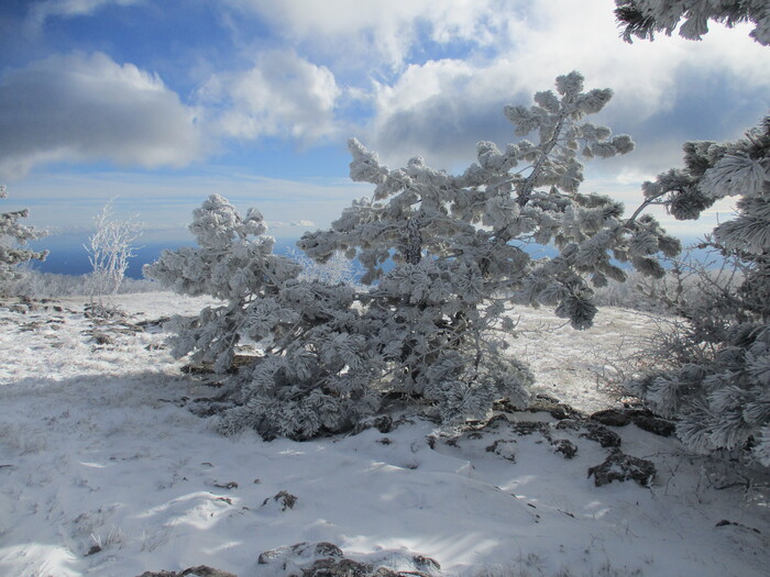 1 января 2020 года на плато Ай-Петри