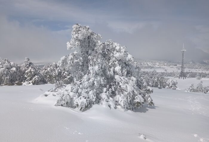 23 марта 2021 года на плато Ай-Петри