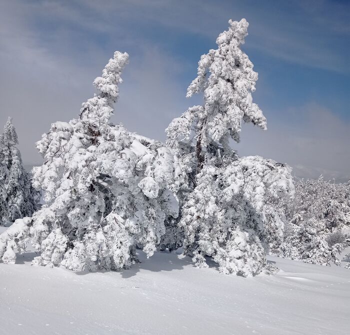 23 марта 2021 года на плато Ай-Петри