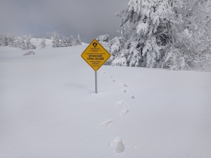 23 марта 2021 года на плато Ай-Петри