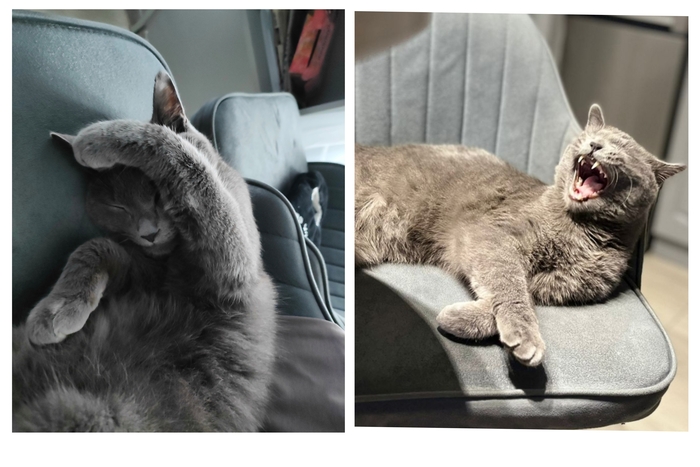 ����� ��� ������ ��� �������� VS ����� �������� �������