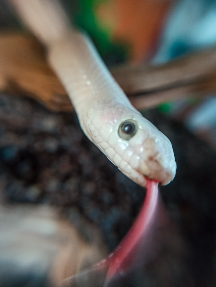 ������ �� �������� �����