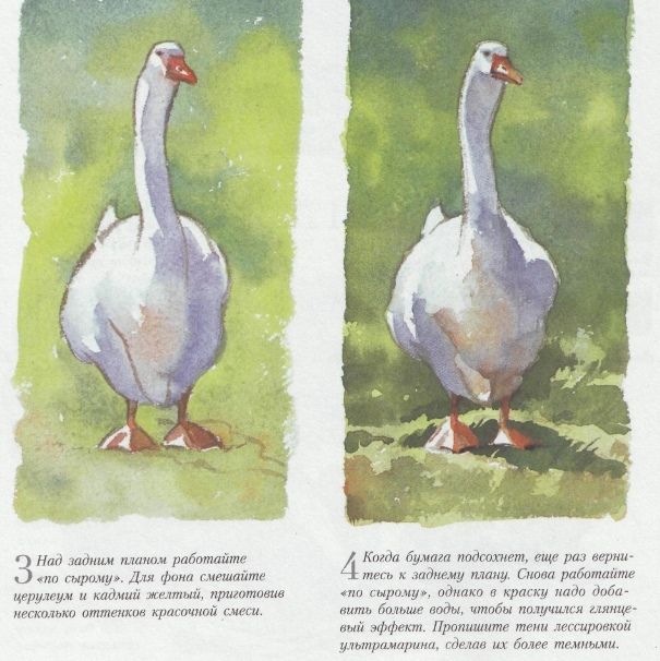 Самоучитель по акварели | Пикабу