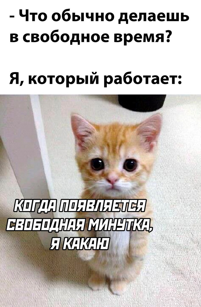 ,      , ... , ,  , ,   , , ,  