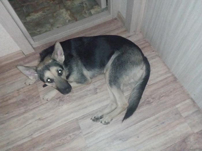 У нас тоже бывает зима