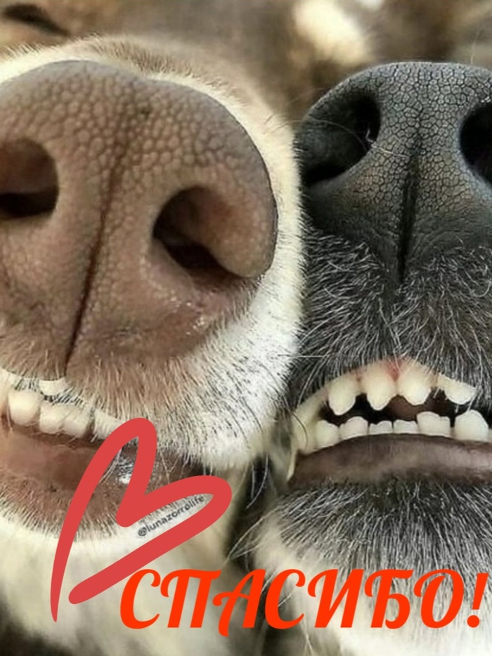  ,      ! ,   , ,   , , , , , , 
