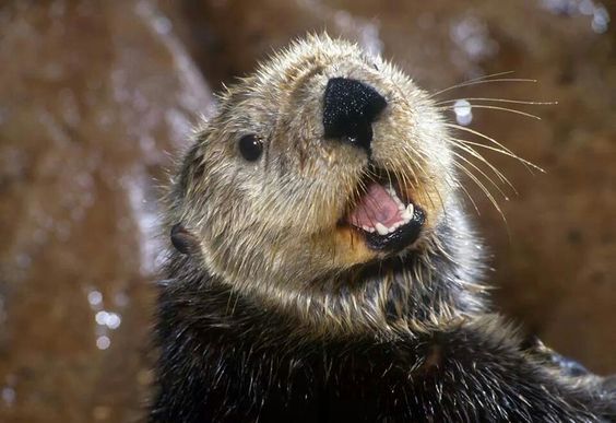 Красивое!❤️