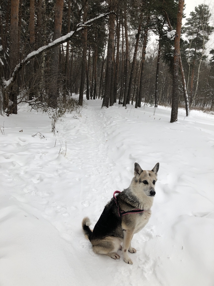 ������ ������ � �������