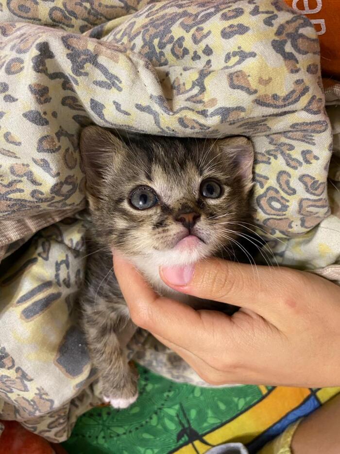 Это ему не знаю сколько, назвали Мишкой