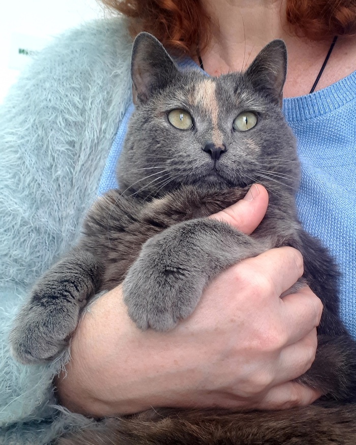            .      .     !             !