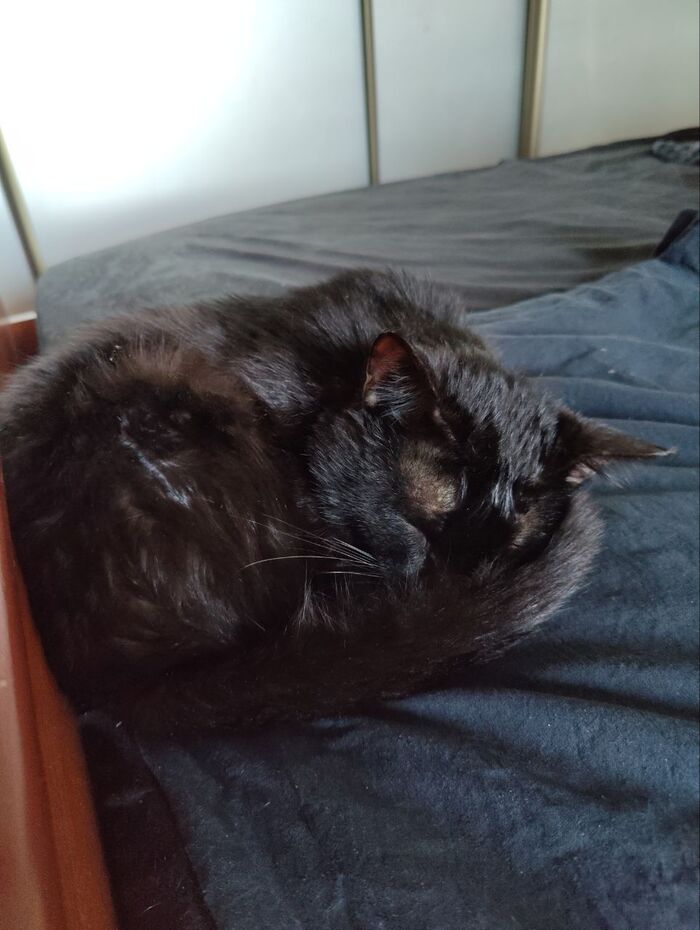 Сразу определил "любимое место" на кровати.