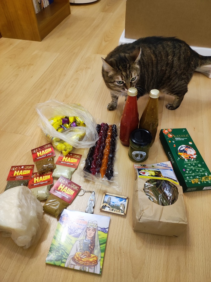 Всё вместе и любопытный кот))