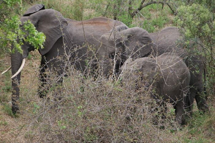 � ����� ��� ��� �������� � ��������