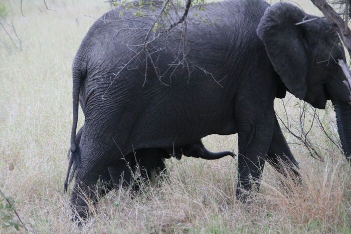 � ��� ��� ���� ���� ���� � ��������, ������������ ���� �������, ���, ������� 2023 ����