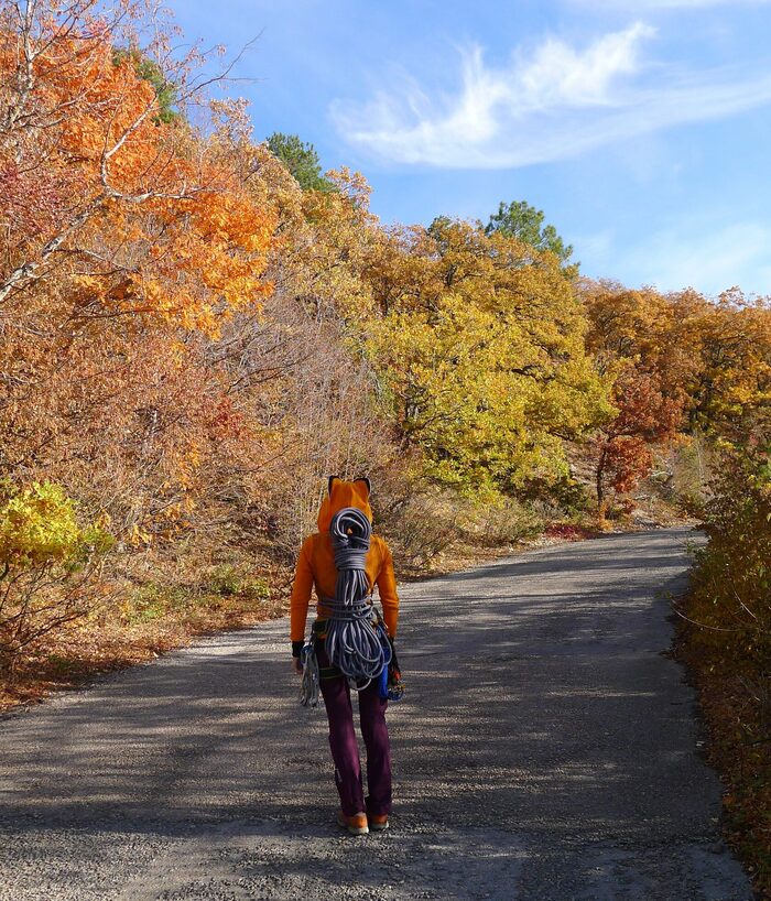 Золотая осень