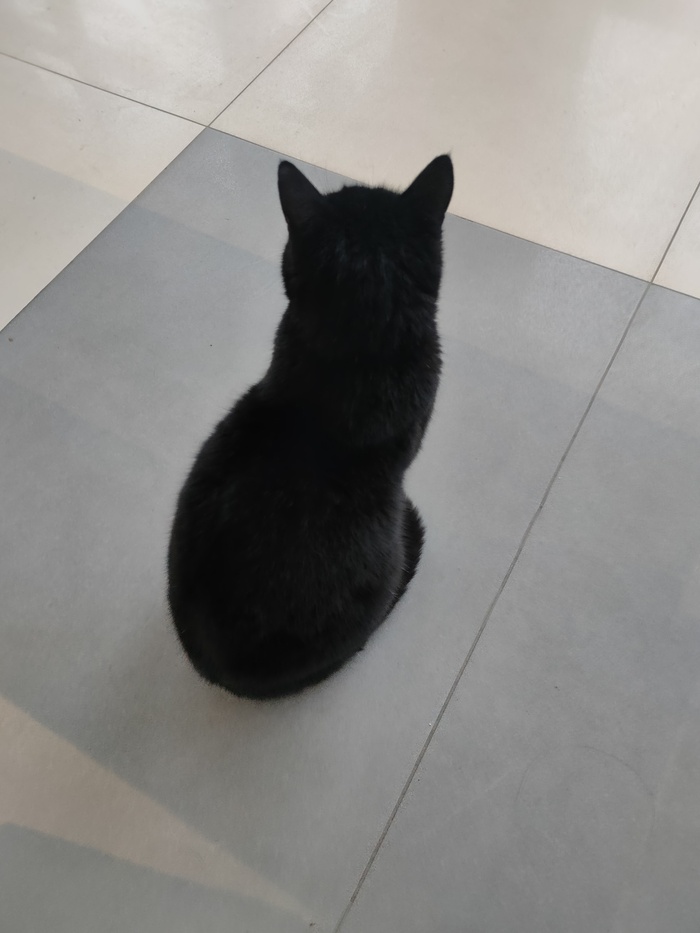  ,      ,     &#x1F494;