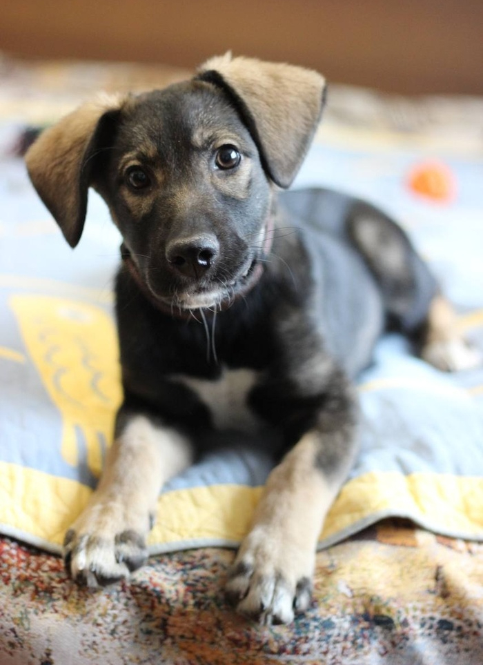 ������� ���, ��������� �� ������������ ���� ������ ��� ��������� ������. ����������, ��� �� ���������, ����� ��� �������� �����!