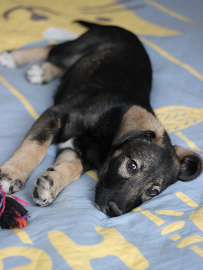 ������� ���, ��������� �� ������������ ���� ������ ��� ��������� ������. ����������, ��� �� ���������, ����� ��� �������� �����!