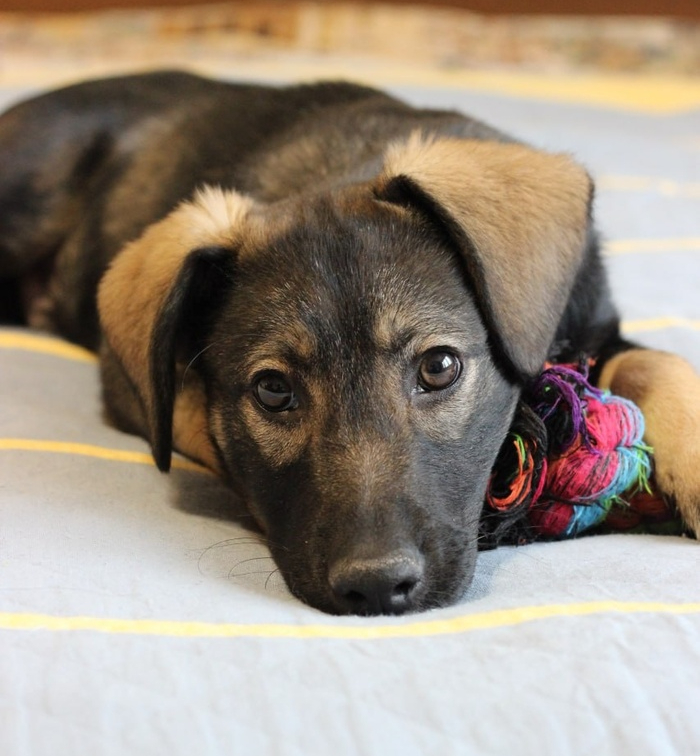 ������� ���, ��������� �� ������������ ���� ������ ��� ��������� ������. ����������, ��� �� ���������, ����� ��� �������� �����!