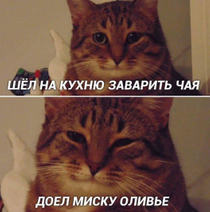 Как наслаждаться новогодними праздниками и оставаться в форме