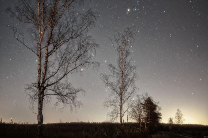 5dm2+samyang24+MistPro