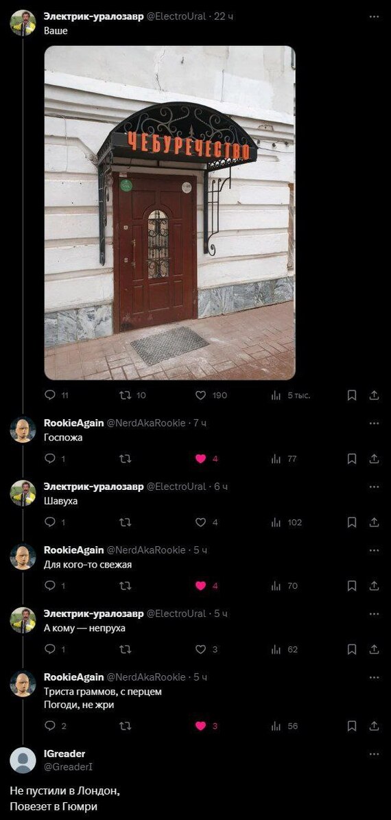 ���� ����������