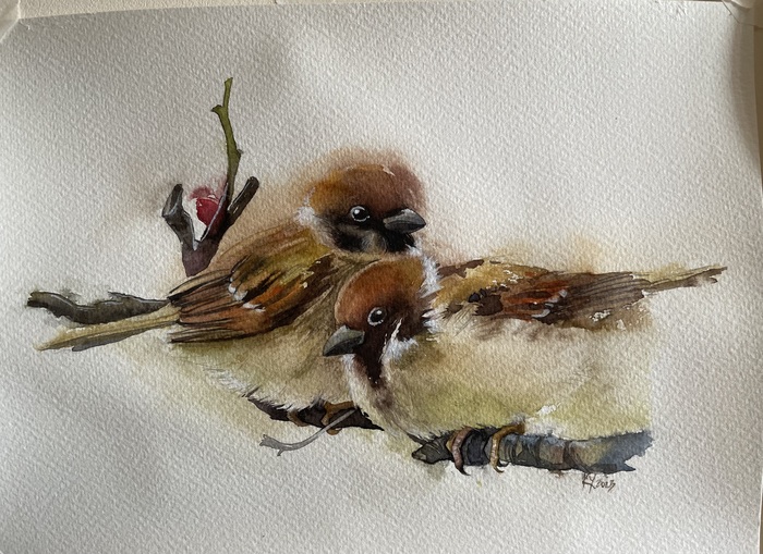 Акварель, бумага. 24х32см.