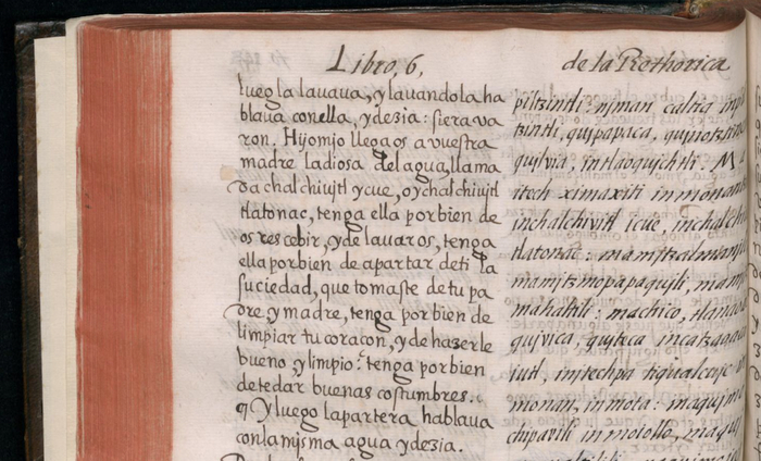 Флорентийский кодекс