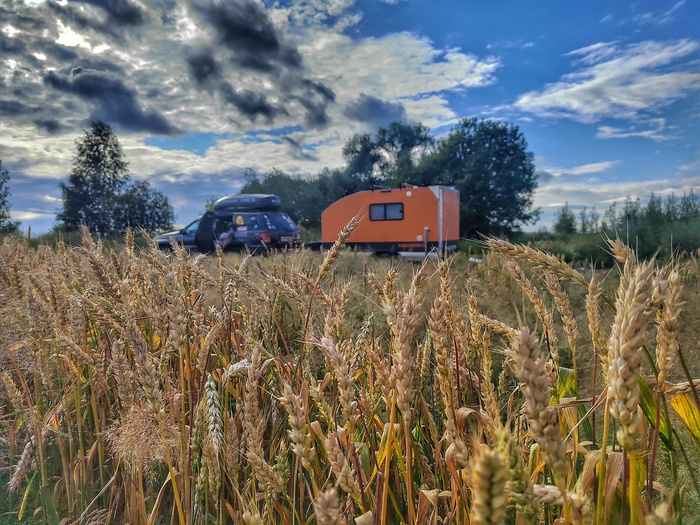 Где-то в Рязанской области