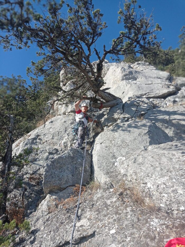 Вид от станции R0 на дерево на в начале участка