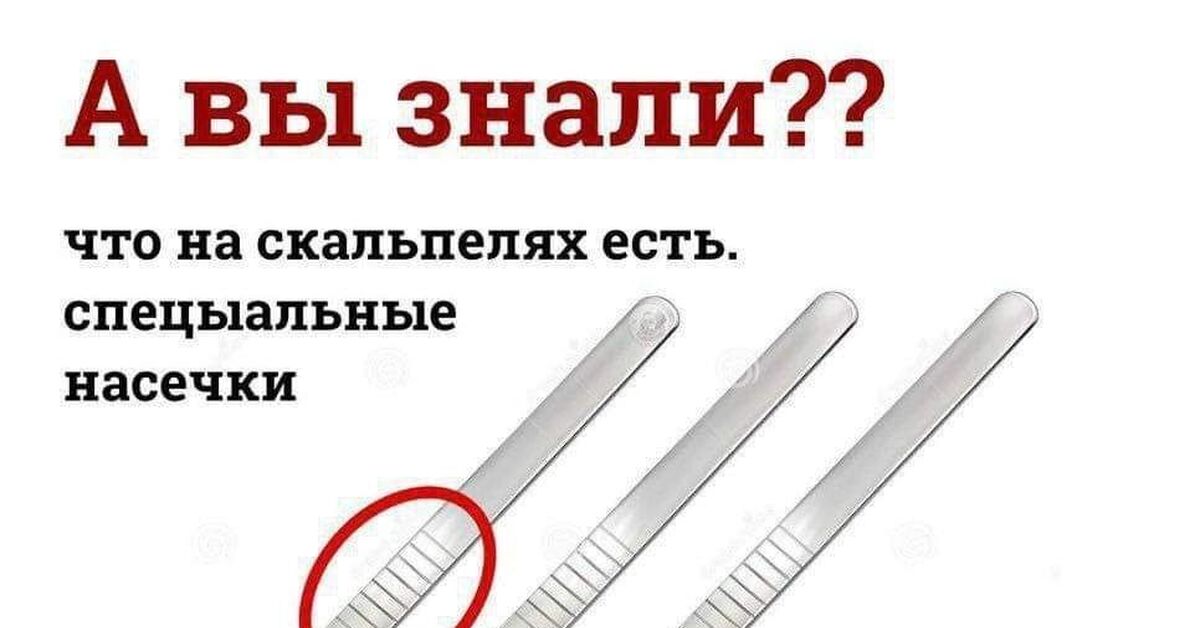 Скальпель | Пикабу