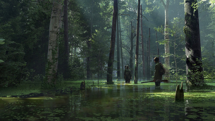  ,       ,   Sony ,         .