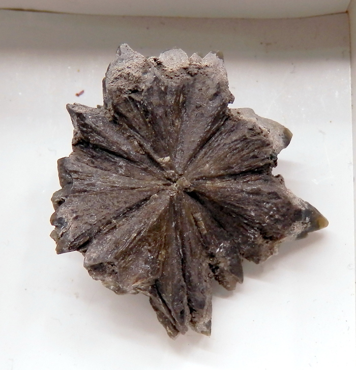 �������������� ���������. ����� ��� � �� �����. ���� ������