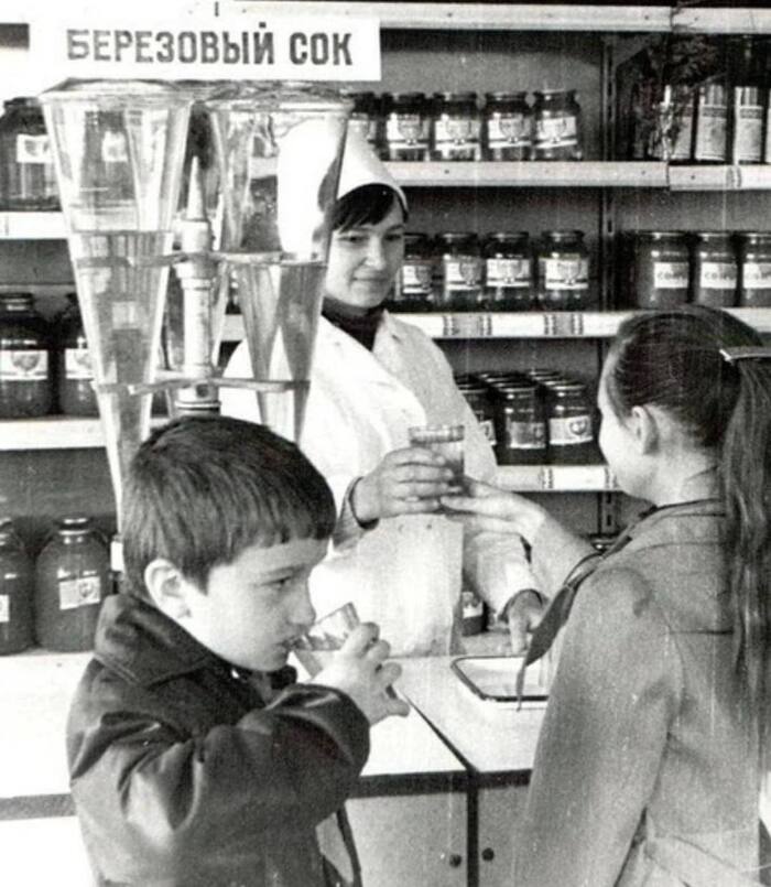 И Родина щедро поила меня...