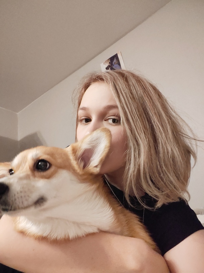 Собака если что не моя, но у меня живёт белый техасский полоз