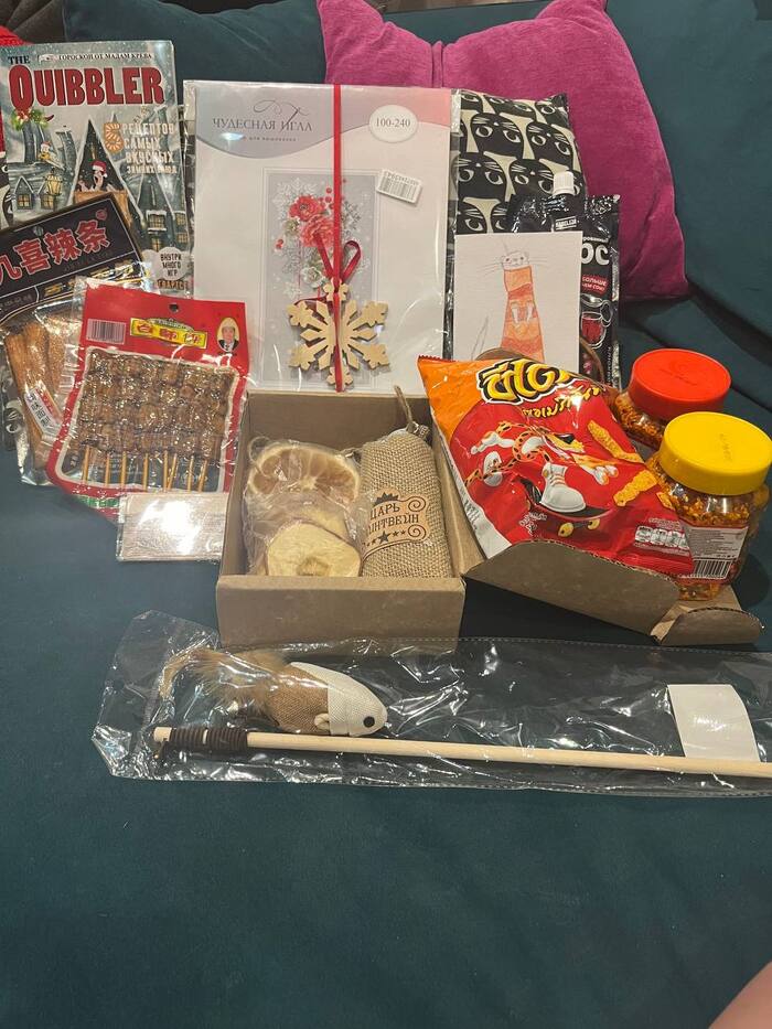 АДМ Санкт-Петербург - Владимир (2023/2024)