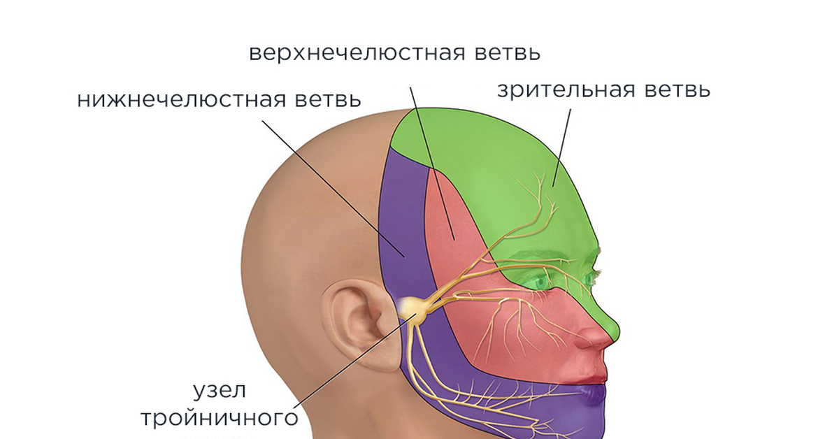 Нервы на лбу. Зоны иннервации тройничного нерва на лице. Зоны Зельдера тройничного нерва. Верхнечелюстной тройничный нерв анатомия. Зона иннервации 1 ветви тройничного нерва.