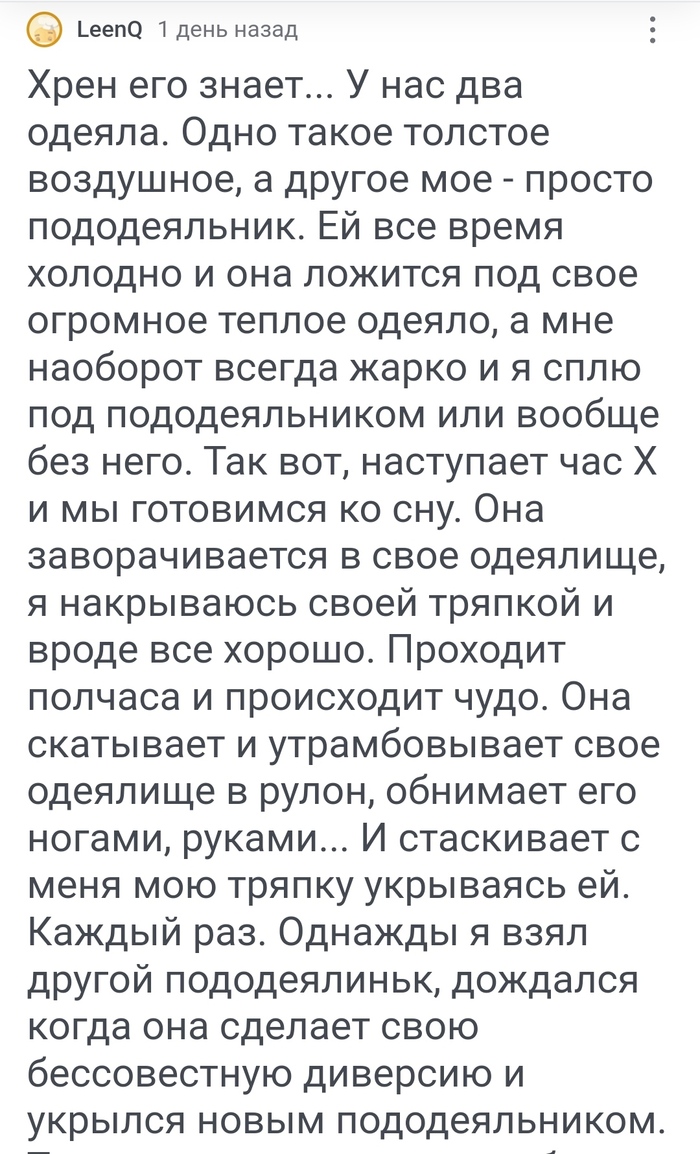 Нерадивая жена: истории из жизни, советы, новости, юмор и картинки —  Горячее | Пикабу