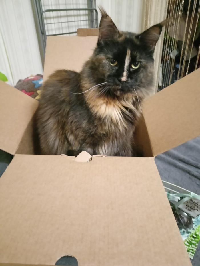 я поняла, что этот дом захвачен