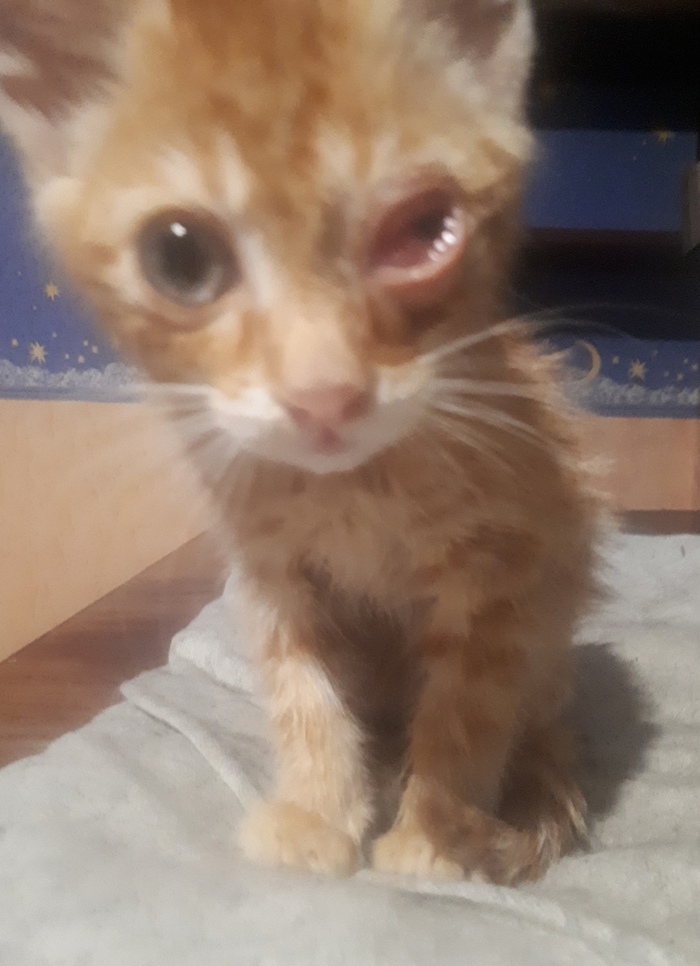      .  -  .    .      .   .