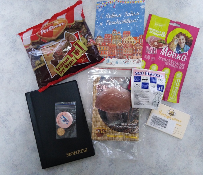 АДМ 2023/2024. Последний вагон. Дмитров - Вельск