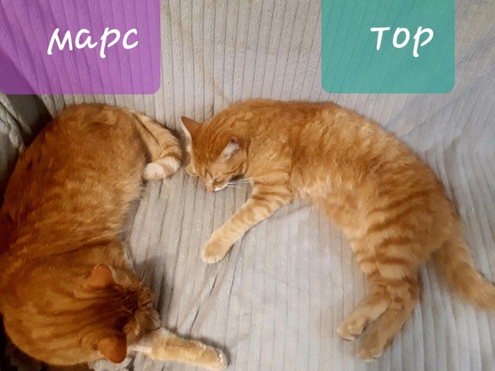      !!!!     .     .     .).  ,      -    