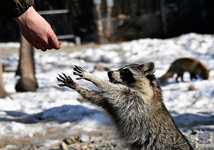 Сафари парк