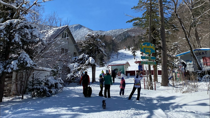 Грибановка