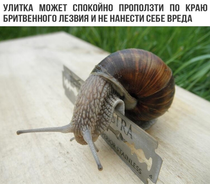 По краю... | Пикабу