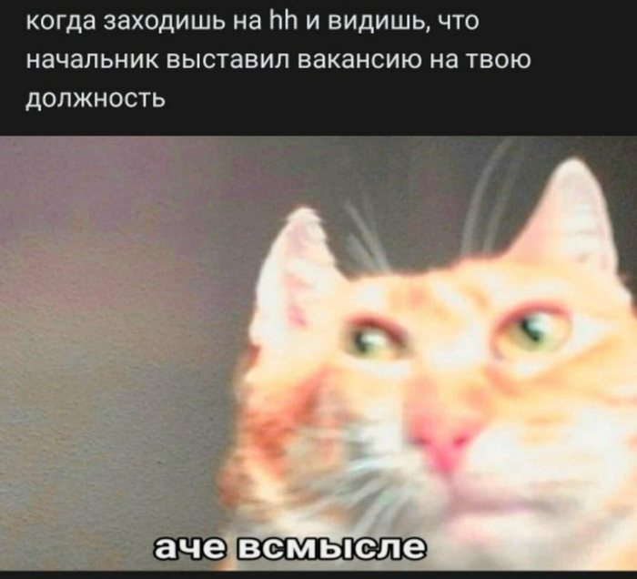 Когда начальник видит, что ты тоже выставил резюме