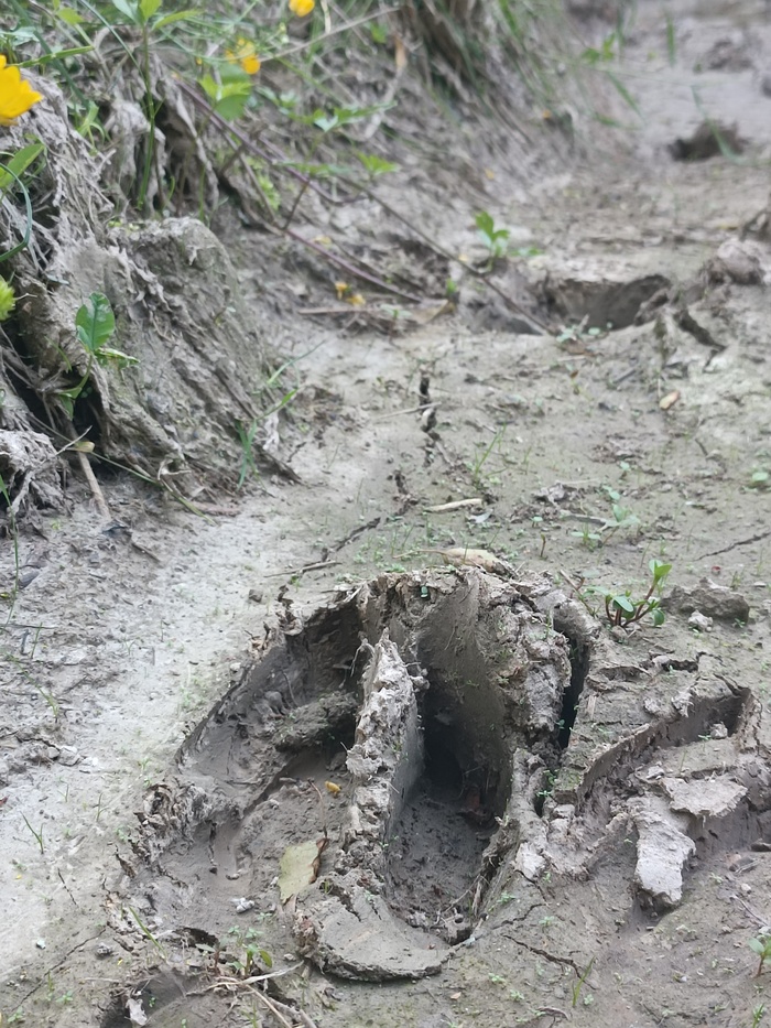 ����� ���� ������, �� ������� �� ��, ���� ��� � ��������) ������� ������ ����